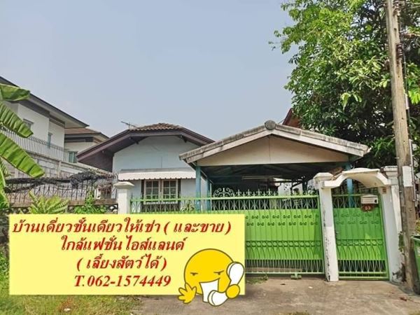 บ้านเดี่ยวชั้นเดียวให้เช่า (และขาย )ใกล้แฟชั่นไอส์แลนด์ เลี้ยงสัตว์ได้ ต่อรองได้ T.062-1574449